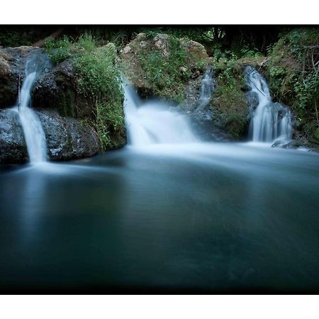 Гостьовий будинок El Rincon De San Benito Касалья-де-ла-Сьєрра Екстер'єр фото
